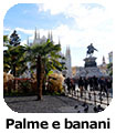 Palme e banani